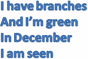 I have branches
And I’m green
In December
I am seen